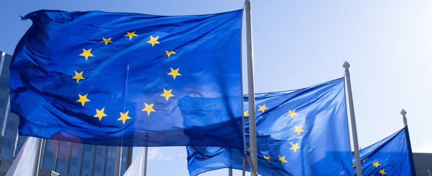 Cluster 6 Pacto Verde Europeo