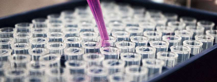 Sector Biotecnológico