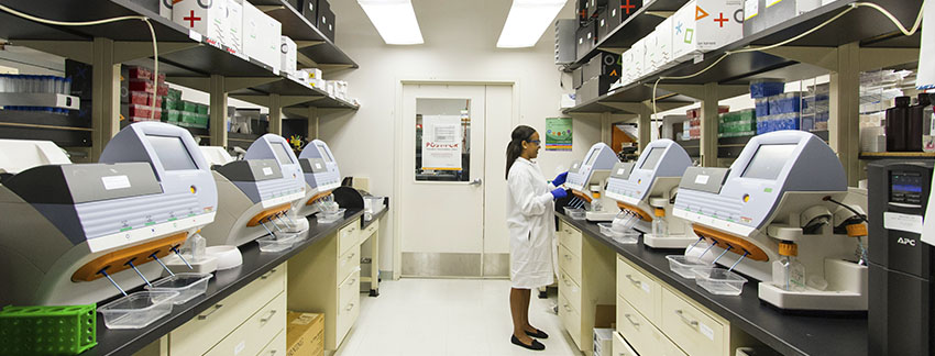 The Role of EIC Accelerator in Advancing Health Startups